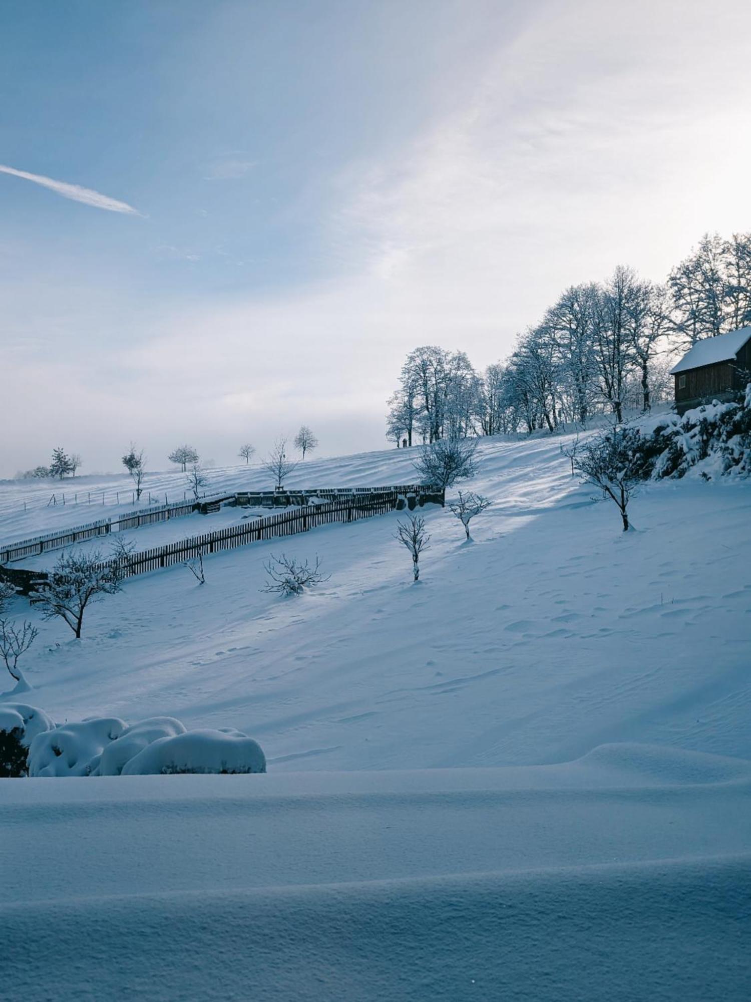 Landhaus Зайфен Экстерьер фото